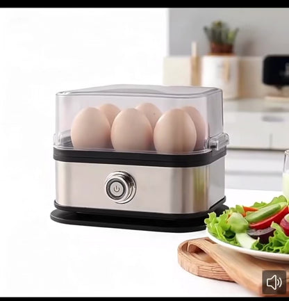 Multifunction Egg Steamer - 110V-220V Selectable